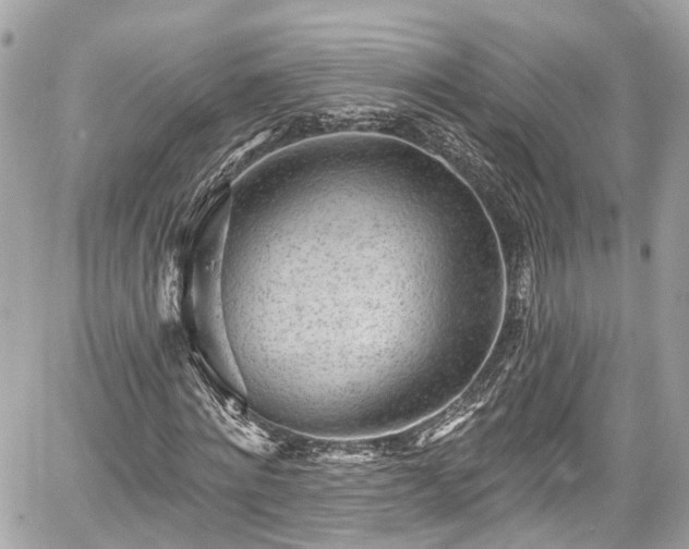 X0000059040868200510101007