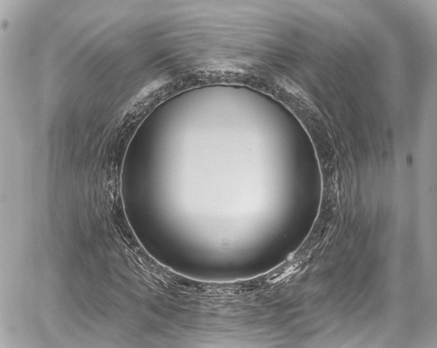 X0000059040870200510101007