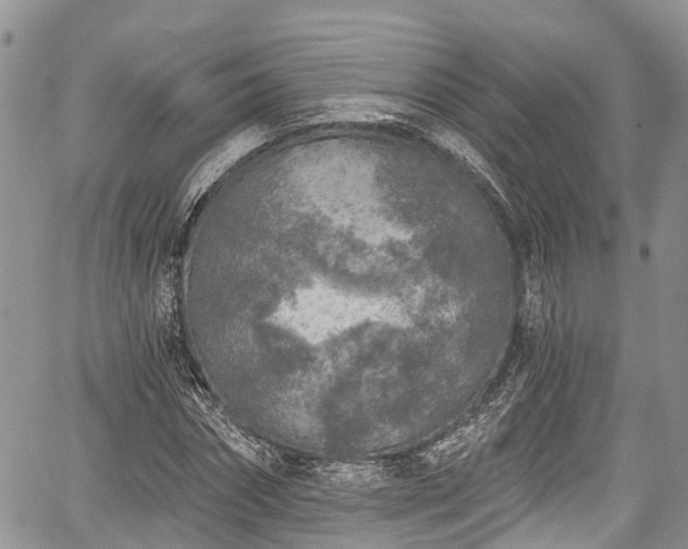 X0000059040874200510101007