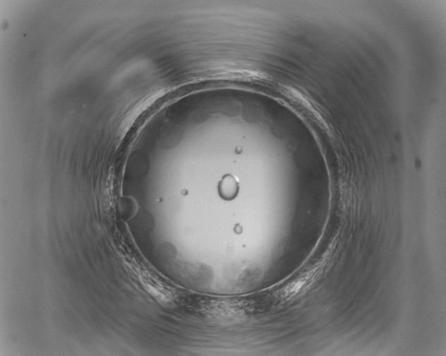 X0000059040875200510101007