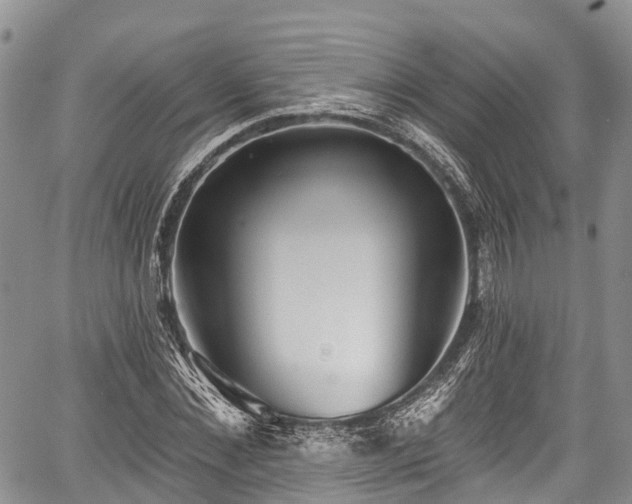 X0000059040876200510101007