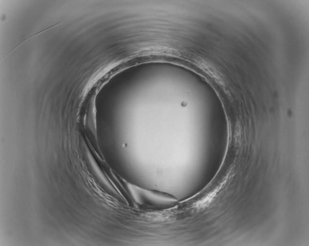 X0000059040877200510101007