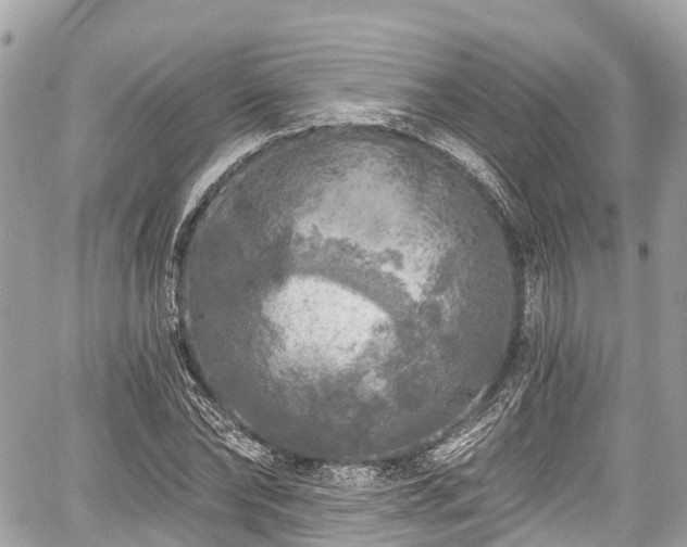 X0000059040878200510101007