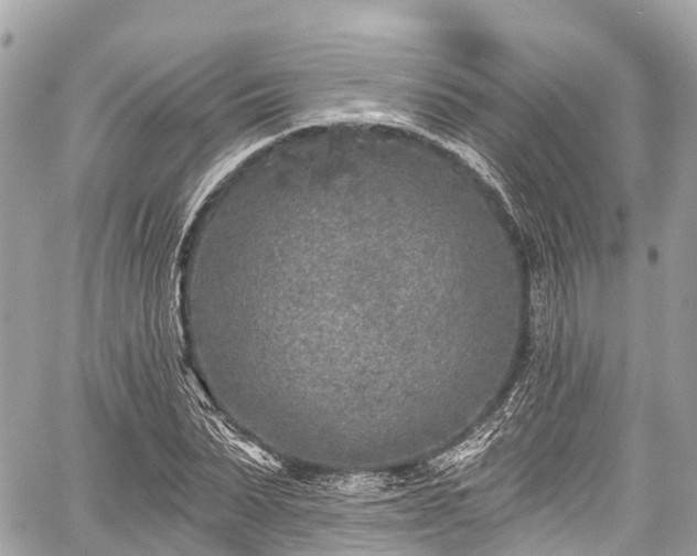 X0000059040879200510101007