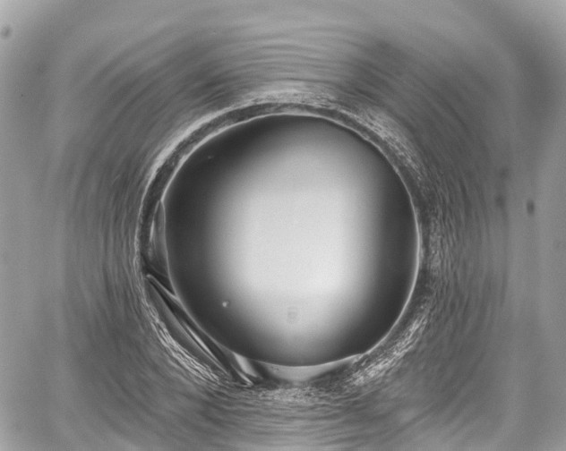 X0000059040880200510101007