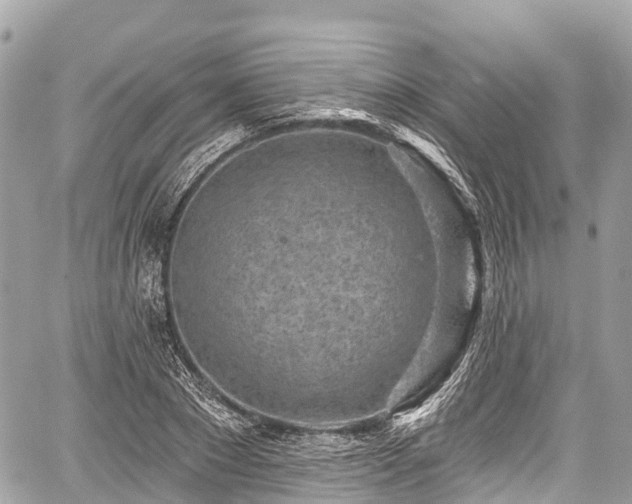 X0000059040881200510101007