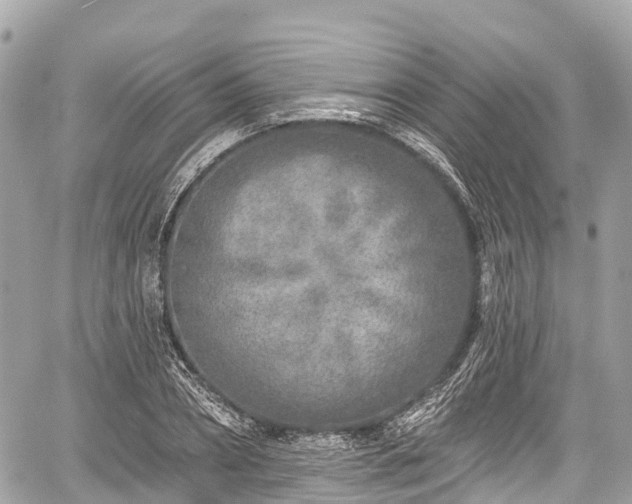 X0000059040882200510101007