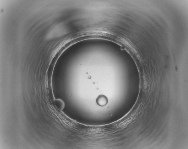 X0000059040883200510101007