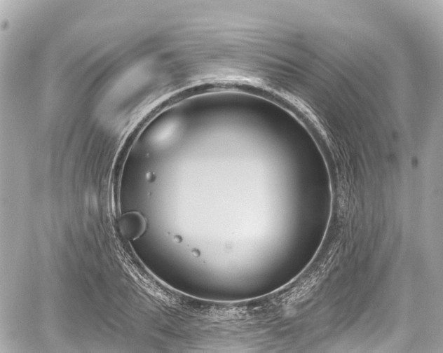 X0000059040887200510101007