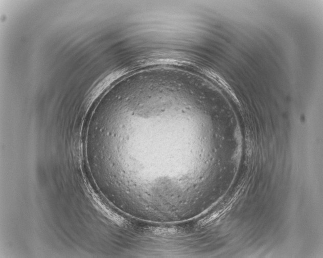 X0000059040890200510101007