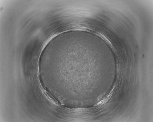 X0000059040891200510101007