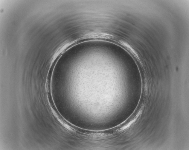 X0000059040893200510101007