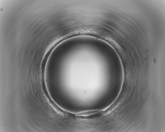 X0000059040894200510101007