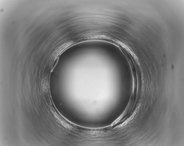 X0000059040897200510101007