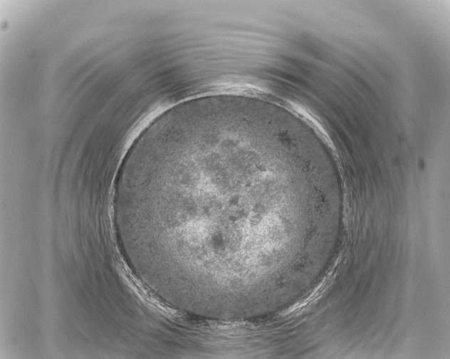 X0000059040899200510101007