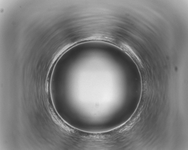 X0000059040900200510101007