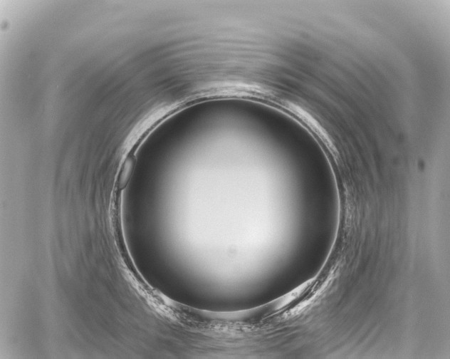 X0000059040901200510101007