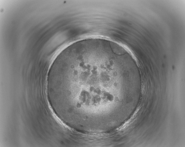 X0000059040903200510101007