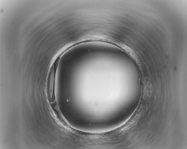 X0000059040904200510101007