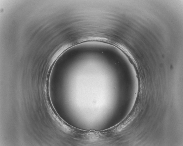 X0000059040906200510101007