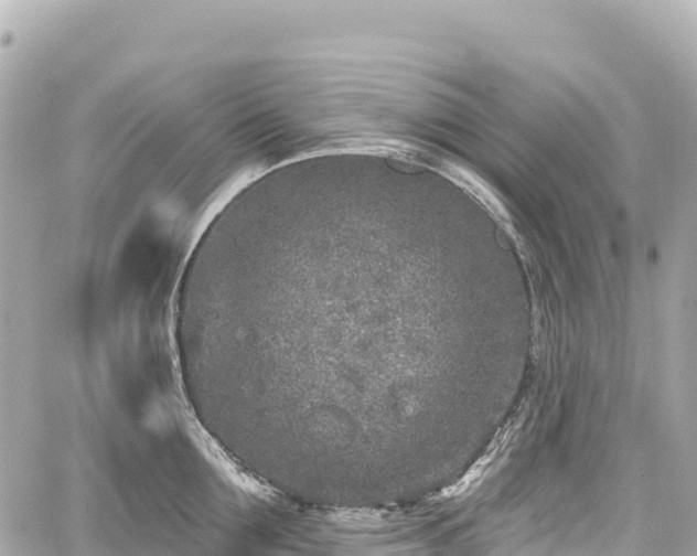 X0000059040907200510101007