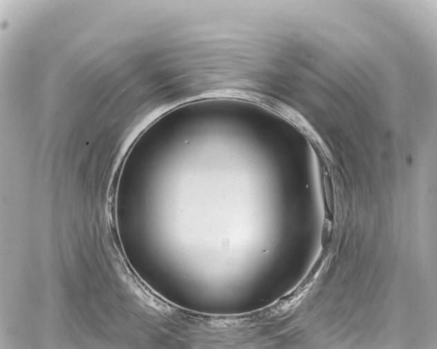 X0000059040908200510101007