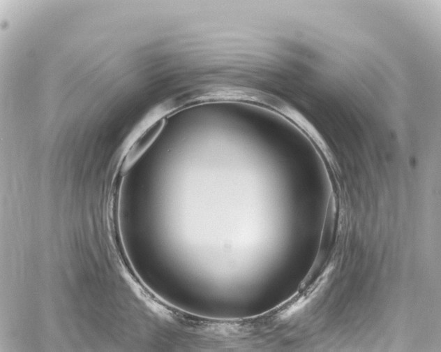 X0000059040909200510101006