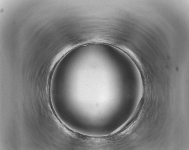 X0000059040910200510101006