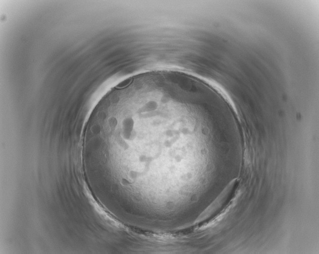 X0000059040911200510101006