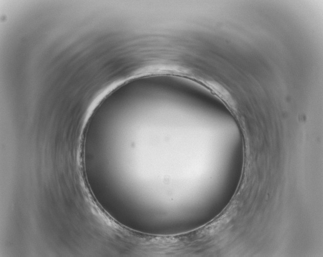 X0000059040912200510101006