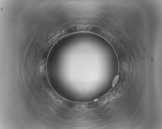 X0000059040914200510101006