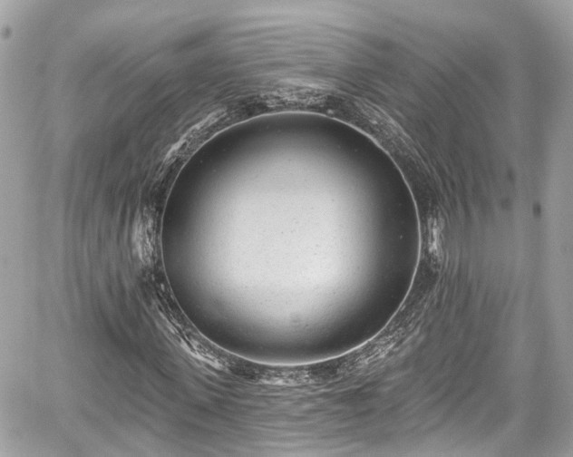 X0000059040915200510101006