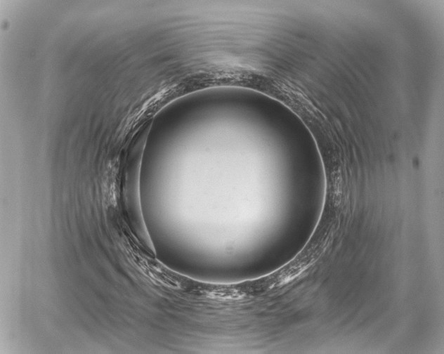 X0000059040916200510101006