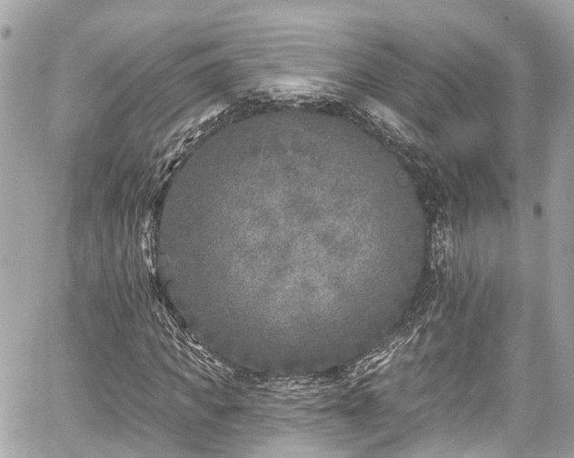 X0000059040917200510101006