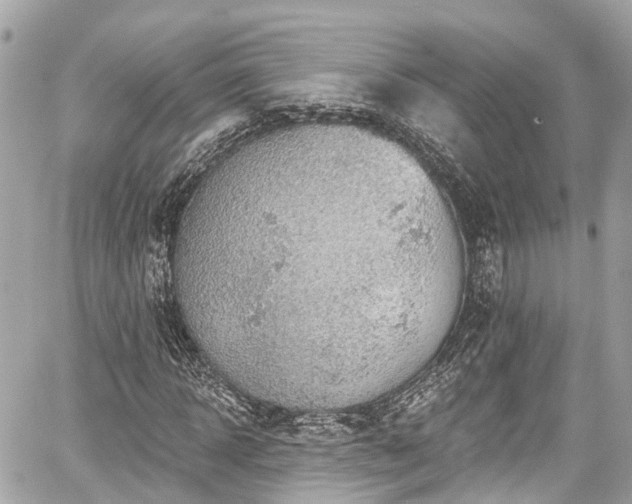 X0000059040918200510101006