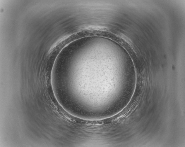 X0000059040919200510101006