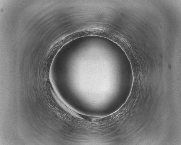 X0000059040920200510101006