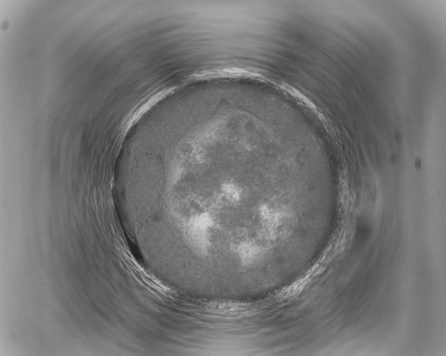 X0000059040921200510101006