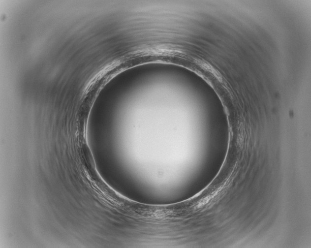 X0000059040922200510101006