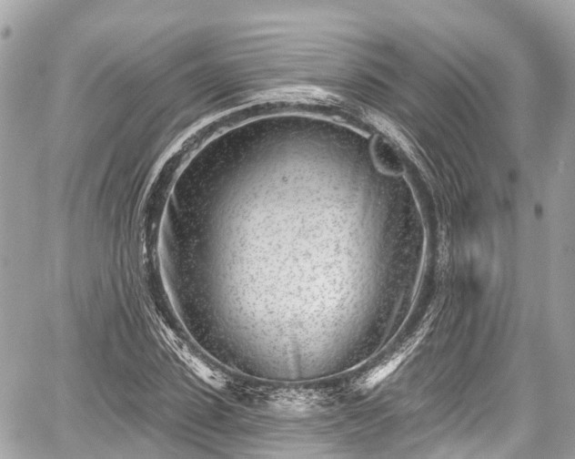 X0000059040923200510101006