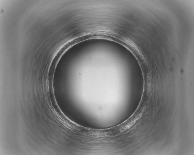 X0000059040924200510101006