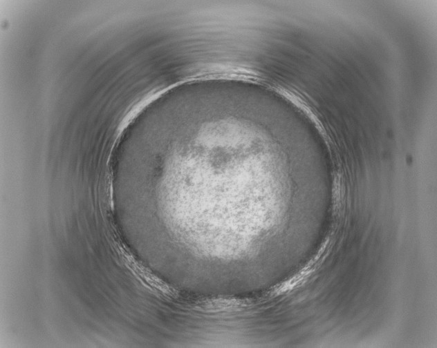 X0000059040925200510101006