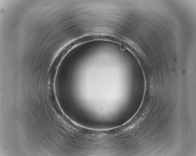 X0000059040926200510101006