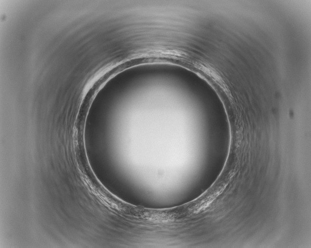 X0000059040928200510101006