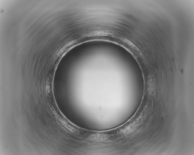 X0000059040929200510101006