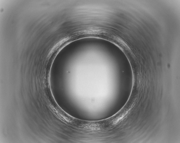 X0000059040930200510101006