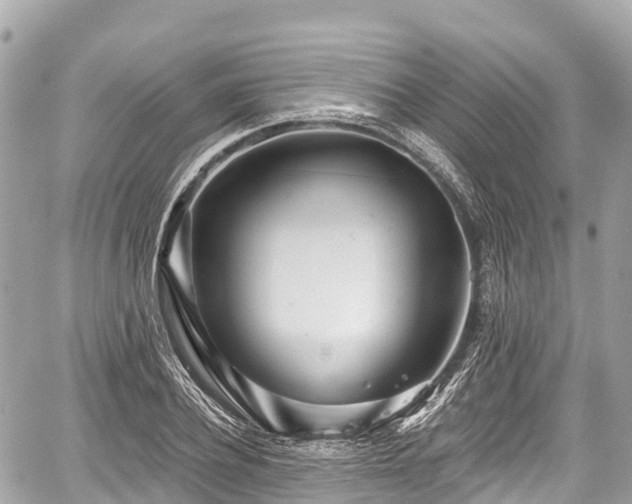 X0000059040932200510101006