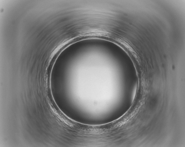 X0000059040933200510101006