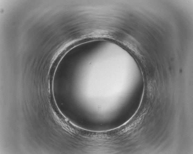 X0000059040934200510101006