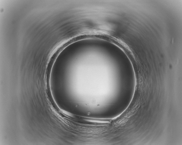 X0000059040935200510101006